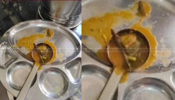Dead Lizard Found in College Canteen Food in Thiruvananthapuram