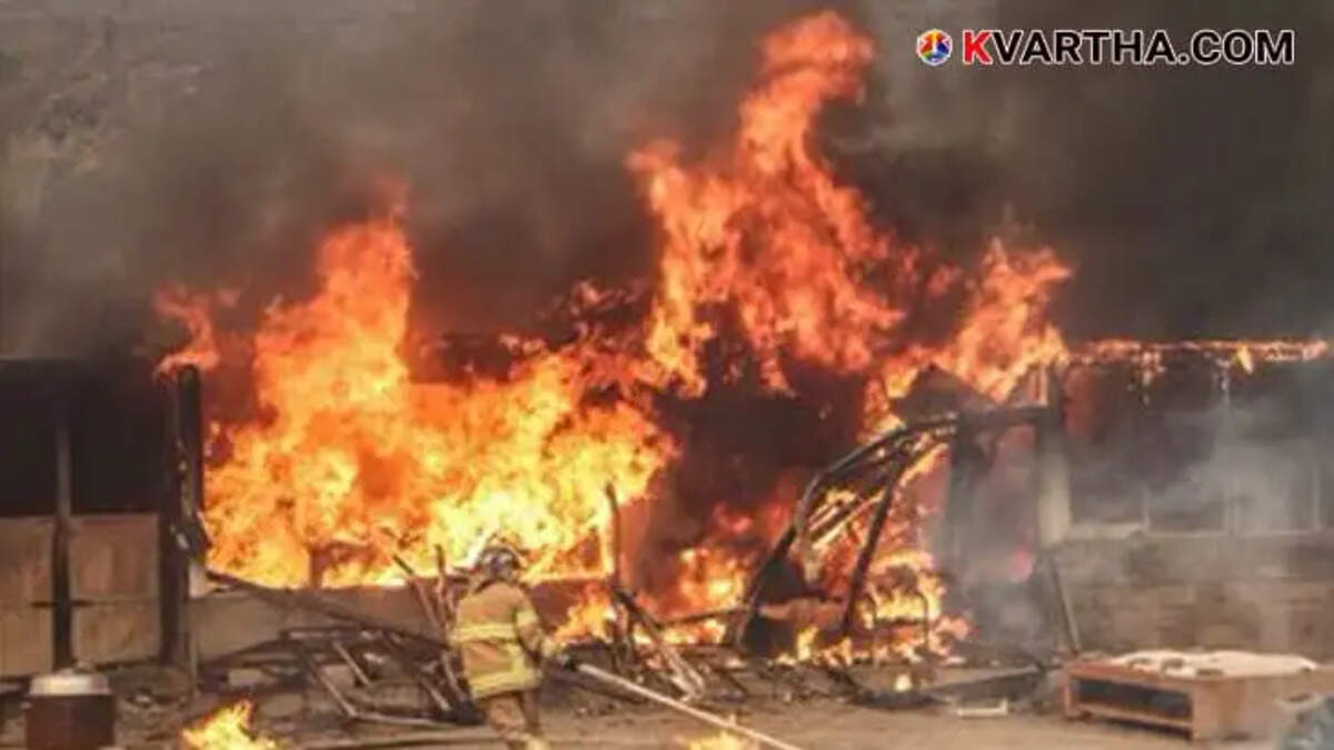 At least 24 dead as &lsquo;unprecedented&rsquo; wildfires rage across South Korea