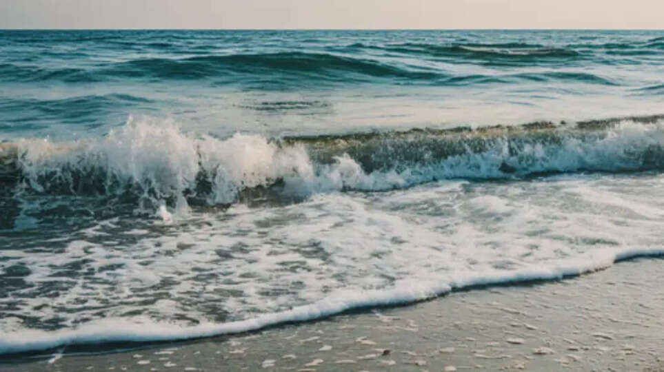 coastal regulation zone relaxation