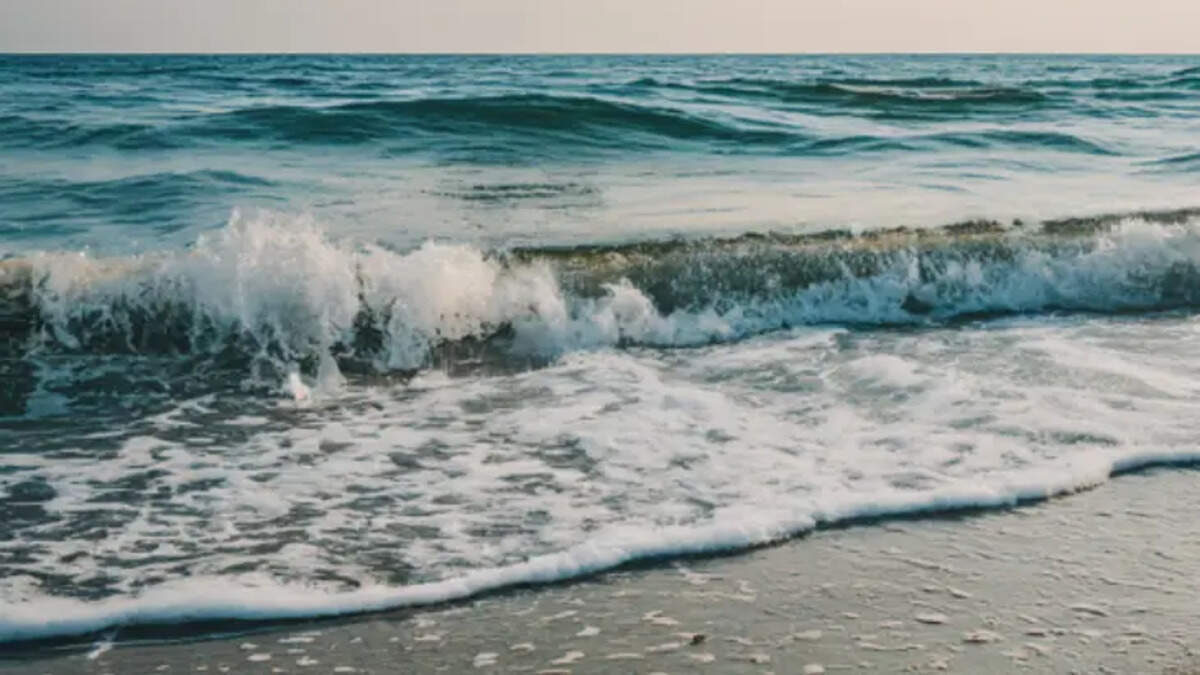 coastal regulation zone relaxation