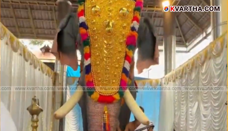 Robotic elephant 'Thaleeshwaran' at Kodungallur temple.