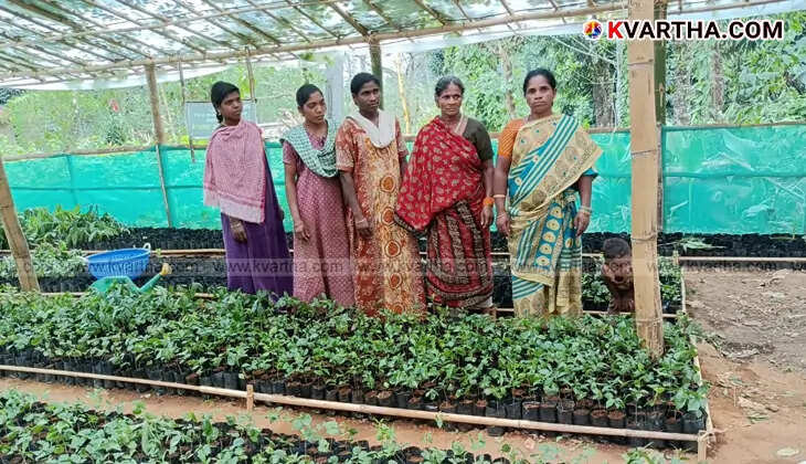 Athirappilly tribal valley brand products like coffee, honey, and pepper.