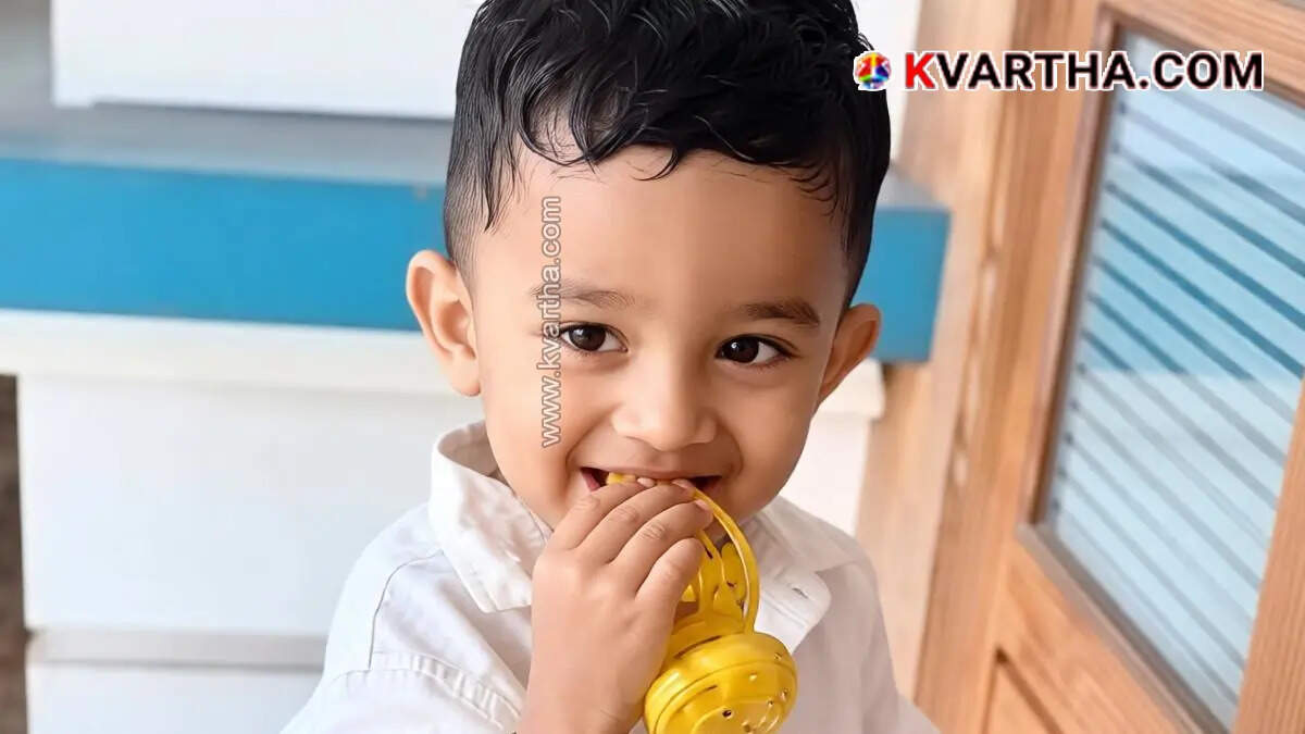 2-Year-Old Boy Dies After Being Hit by Out-of-Control Lorry While Crossing Road with Mother in Pilathara