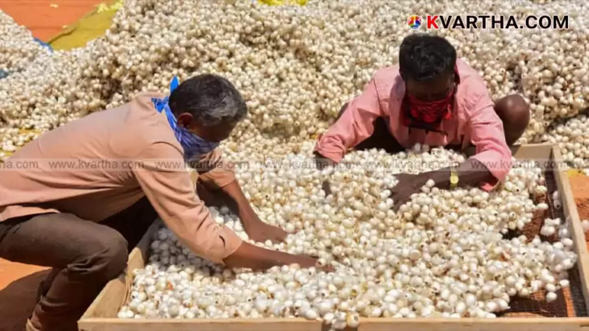 Karnataka silk cocoon market with farmers selling produce
