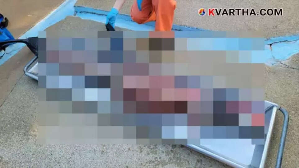 Dolphin's remains discovered on New Jersey beach