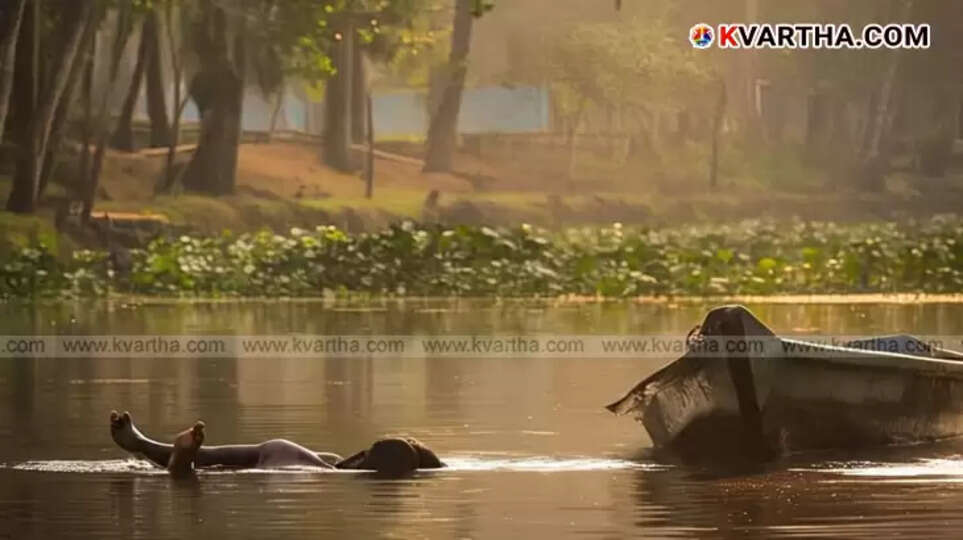 Portrait of Steve Rajesh, the young man who died in a boat capsizing accident in Alappuzha.
