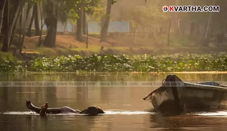 Portrait of Steve Rajesh, the young man who died in a boat capsizing accident in Alappuzha.