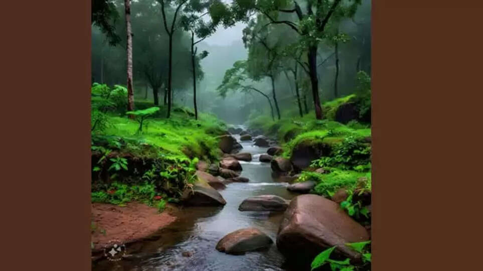 Heavy Rains Lash Kerala, Orange Alert Issued for Several Districts, Kerala, heavy rain.