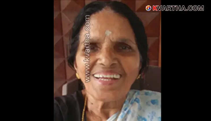 Elderly woman hit by bus in Kannur, fatal road accident
