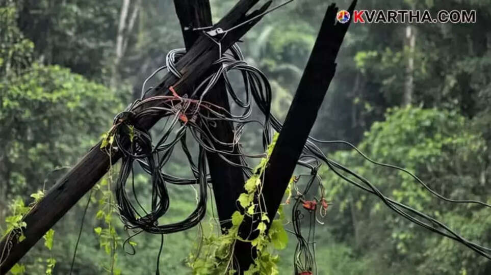 Image Representing Elderly Man Dies of Electrocution from Broken Power Line in Kundara