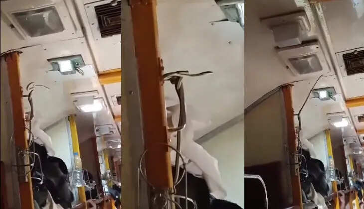 Snake Found in Garib Rath Express
