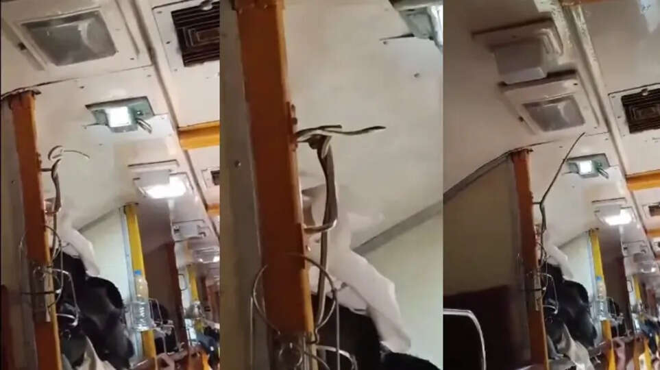 Snake Found in Garib Rath Express