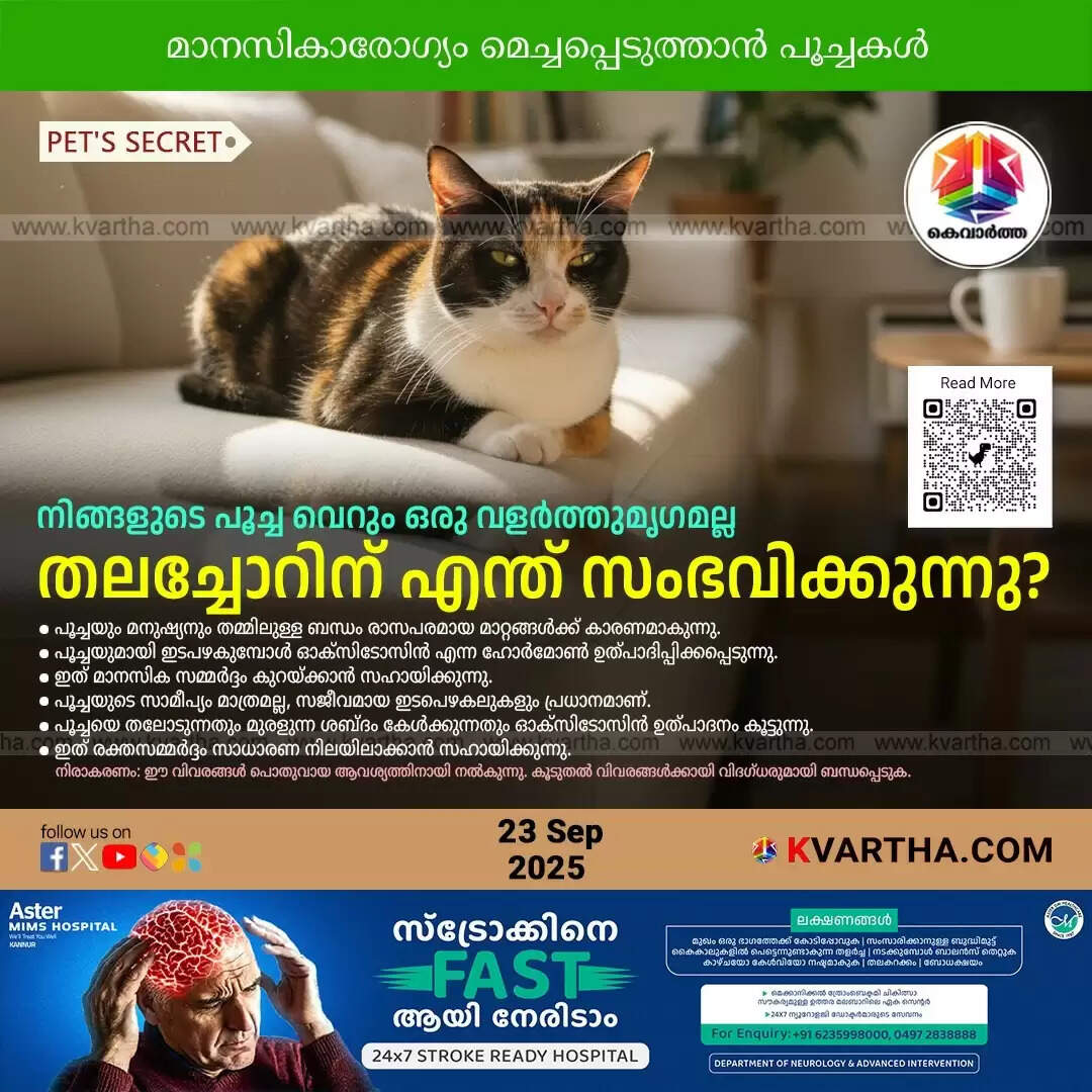 the science of cats and human brain oxytocin