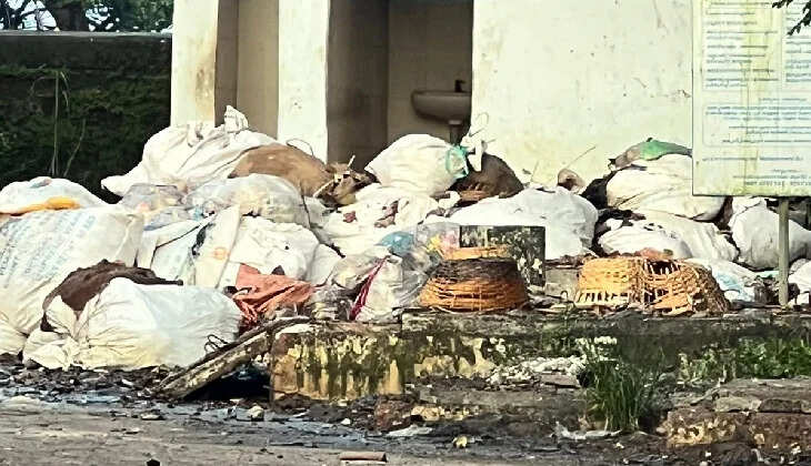 Kasaragod Market Turns into a Garbage Dump
