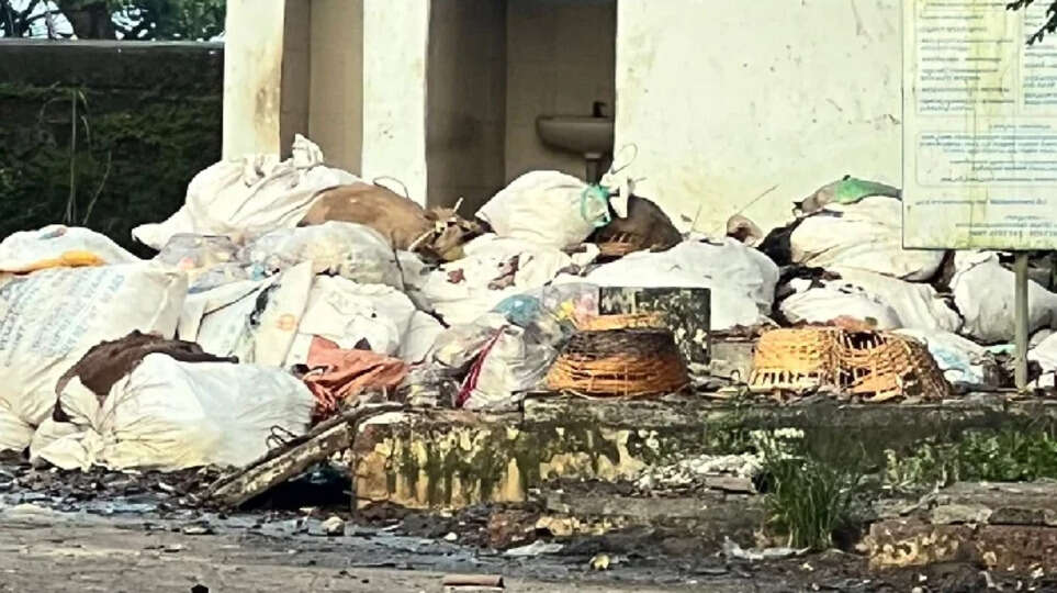 Kasaragod Market Turns into a Garbage Dump