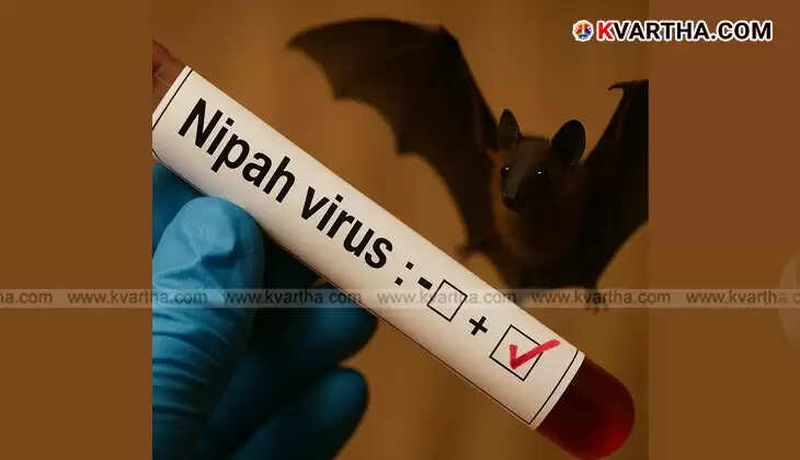  Nipah Virus Returns to Kerala: 42-Year-Old Confirmed Positive, Transmission Routes, Symptoms, and Precautions