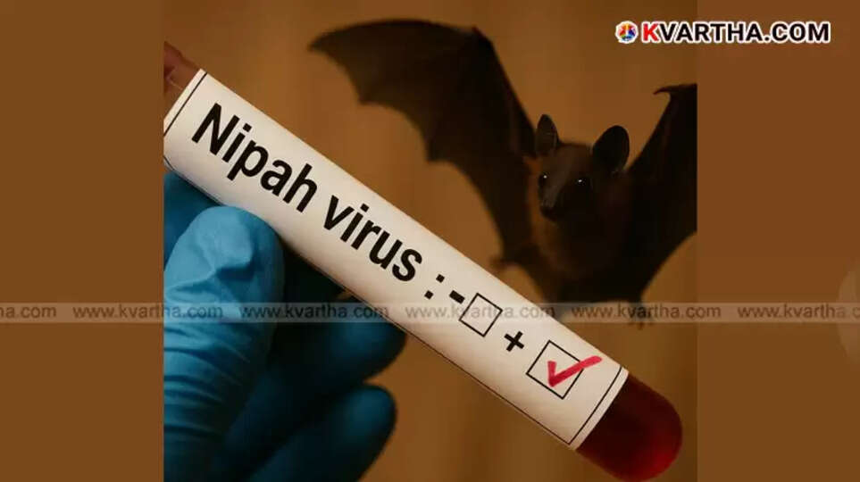 Nipah Virus Returns to Kerala: 42-Year-Old Confirmed Positive, Transmission Routes, Symptoms, and Precautions