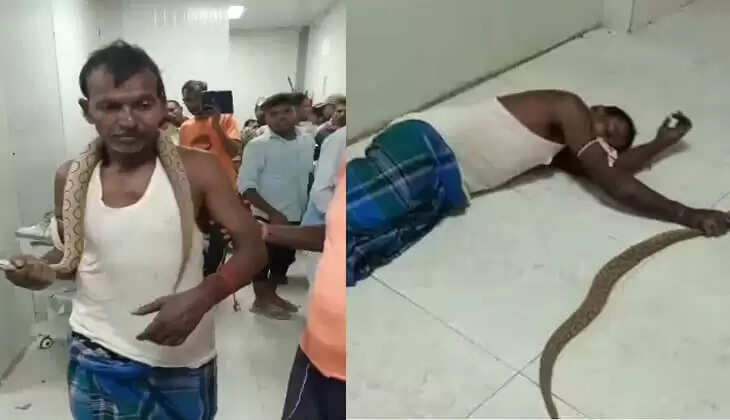 Bihar Man Gets Bitten By Venomous Snake, Arrives At Hospital With The Reptile