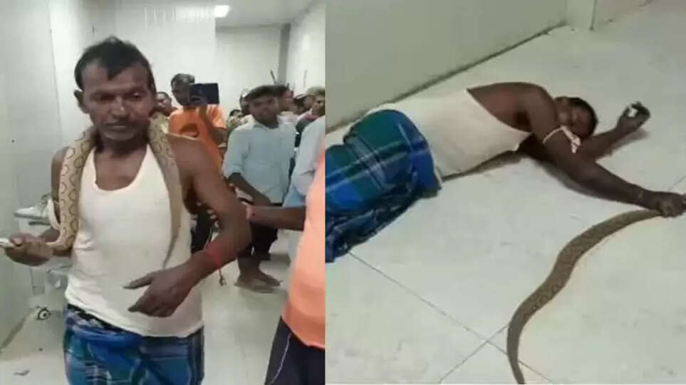 Bihar Man Gets Bitten By Venomous Snake, Arrives At Hospital With The Reptile