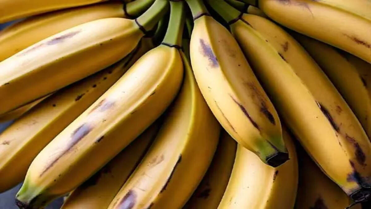 A bunch of&nbsp;ripe&nbsp;bananas