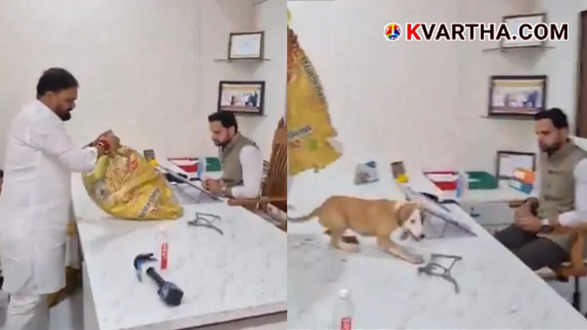  Protesters releasing stray dogs into the office