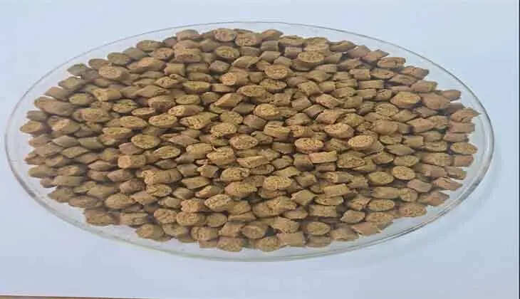 CMFRI Develops Eco-friendly Fish Feed Using Soldier Fly Larvae