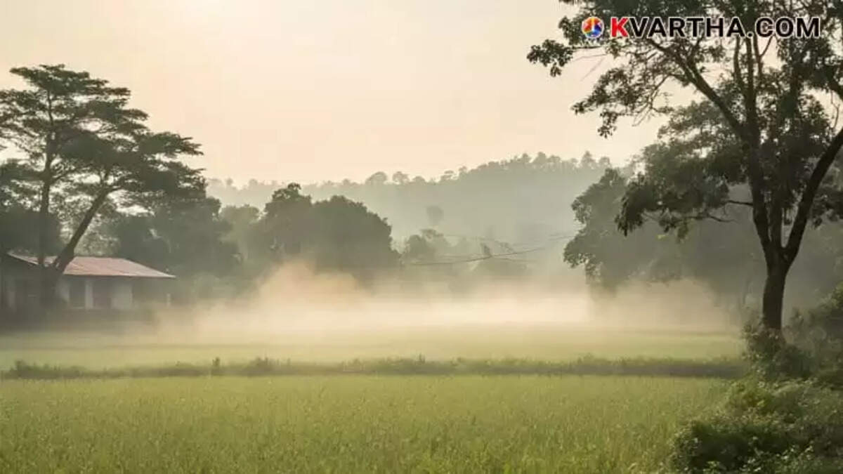 Unusual Cold Wave Hits Kerala Early Due to Cyclone Influence