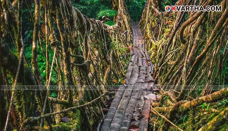 Thrilling Journeys: Ten Wonderful Worlds of Adventure