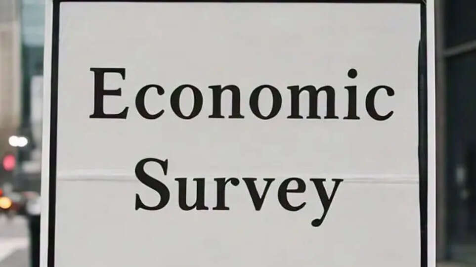 Understanding the Economic Survey of India