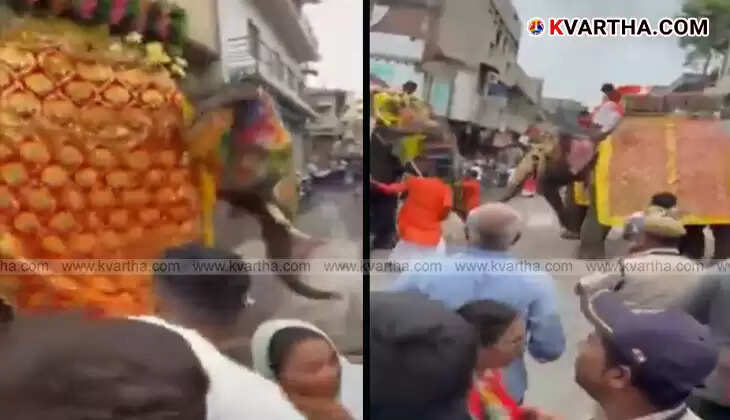 Authorities controlling a startled elephant during Ahmedabad Rath Yatra.