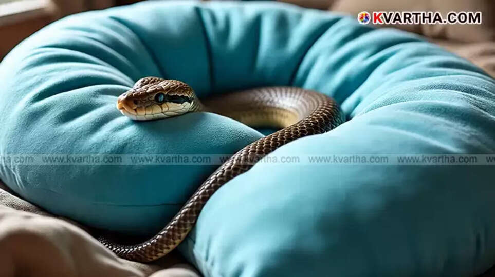 Woman who died from snake bite in Uttar Pradesh
