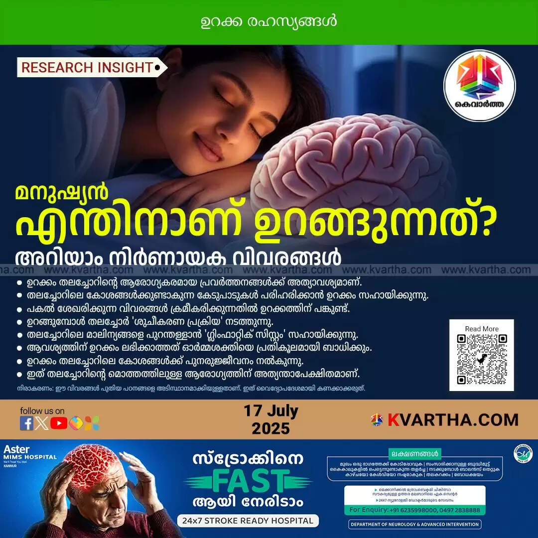 why humans sleep brain secrets revealed
