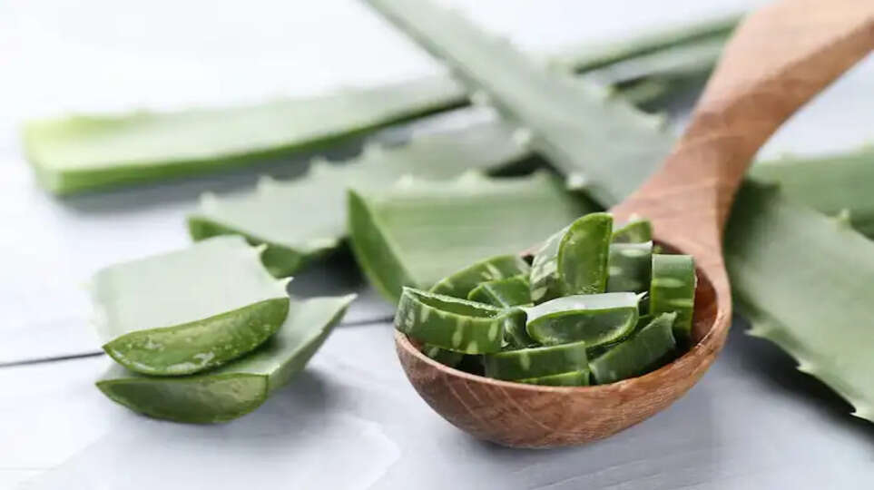 benefits of aloe vera for hair