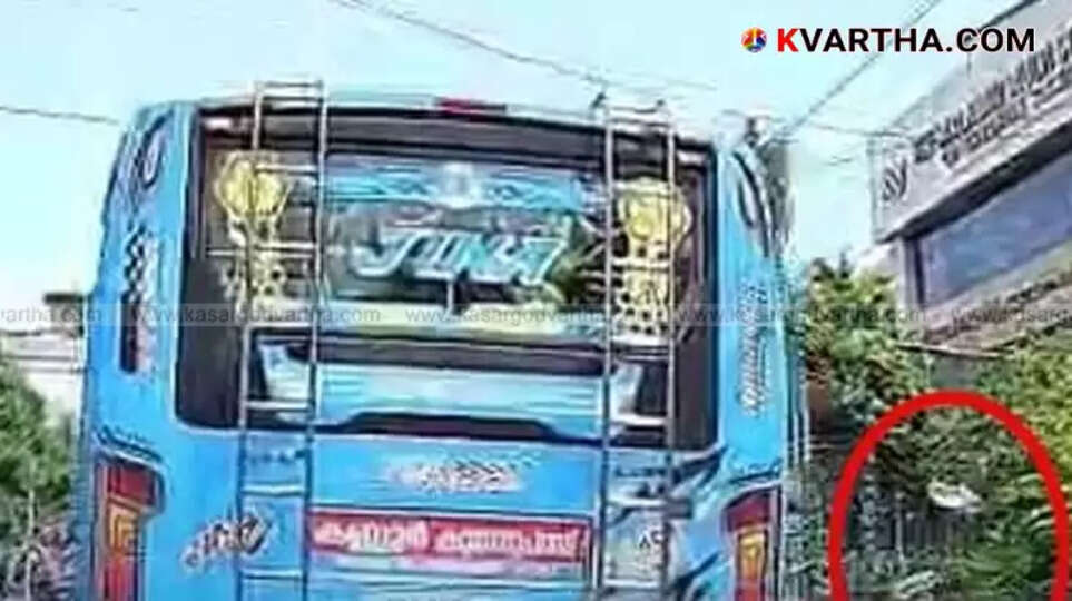 Plastic water bottles littered on the roadside.