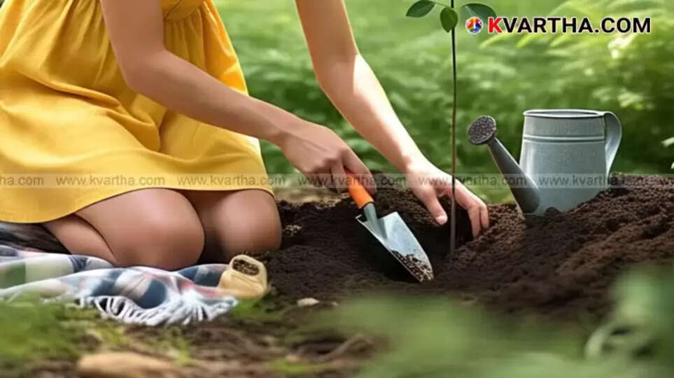 Saplings planted as part of the 'Tree Banking Project' in Kerala.