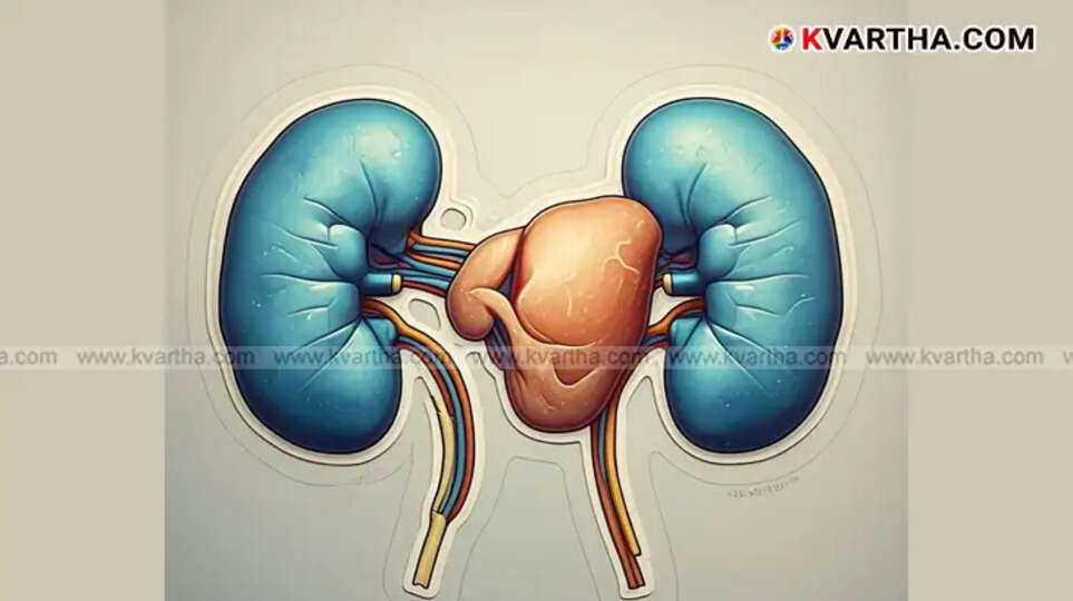  This Mineral is Needed to Activate Vitamin D in the Kidneys and Liver; Are You Eating Enough?