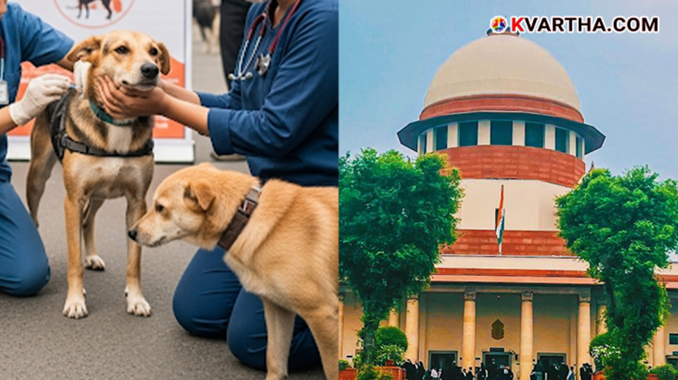 A veterinarian is giving a rabies vaccination shot to a street dog.