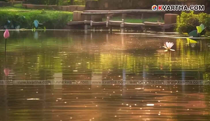 A view of the pond in Kalladikode where three children drowned.