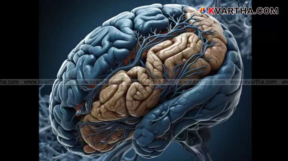 Nootropics, Omega-3, Vitamin D supplements for brain health