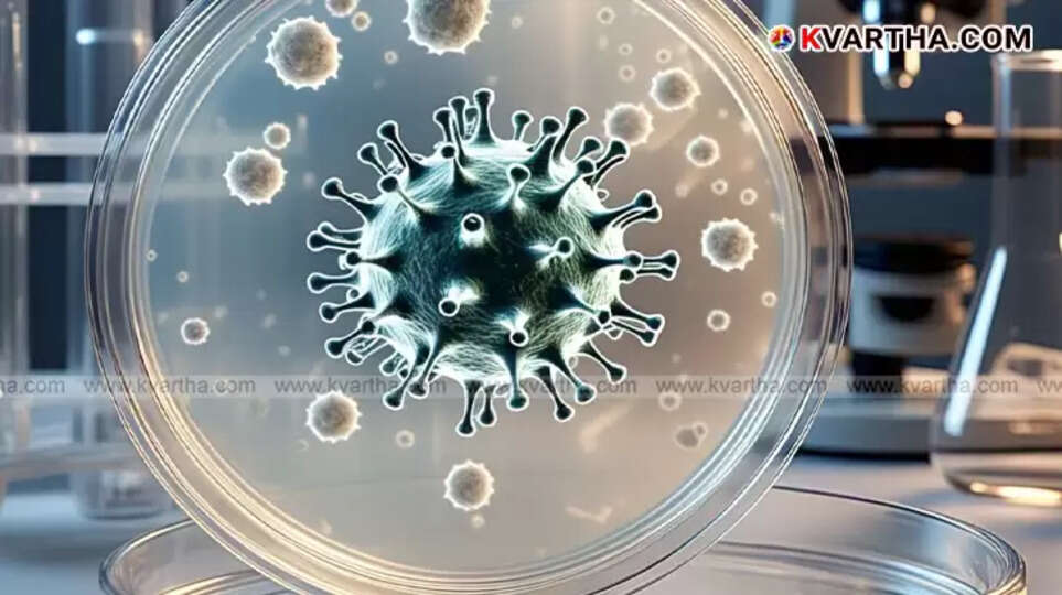  COVID-19 spread in Karnataka, active cases rising.