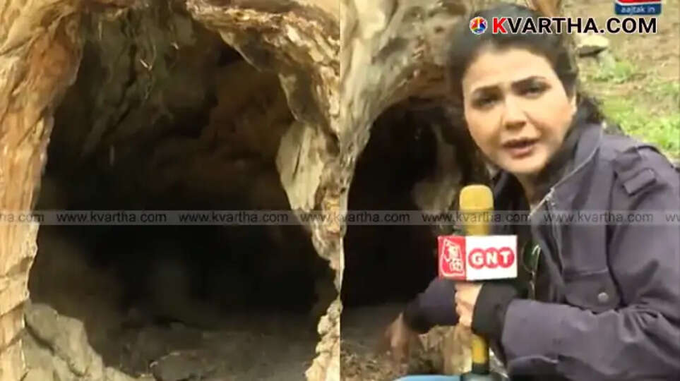 Shweta Singh reporting on tree hideout for terrorists