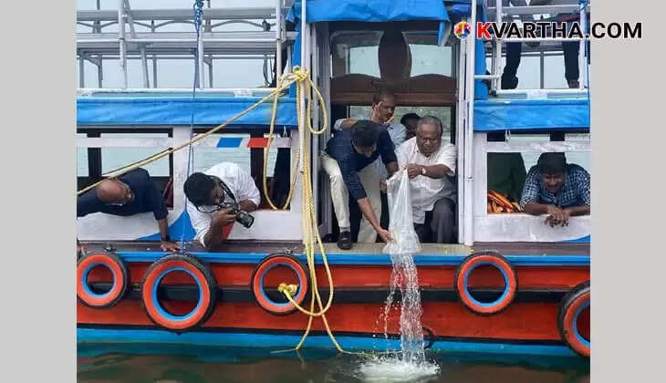 പൂവൻ കക്കയുടെ ലഭ്യത കൂട്ടുന്നത് ലക്ഷ്യമിട്ട് സിഎംഎഫ്ആർഐ ഹാച്ചറിയിൽ ഉൽപാദിപ്പിച്ച കക്ക വിത്തുകൾ അഷ്ടമുടികായലിൽ നിക്ഷേപിക്കുന്നു. Photo: CMFRI Media