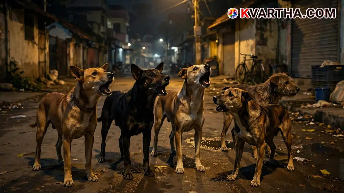 Image Representing Stray dog bites off 11-year-old boy's finger while playing in front yard in Kilimanoor