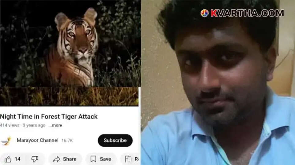 Fake Tiger Video Arrest