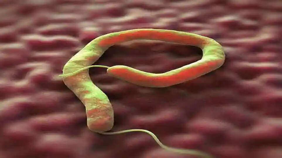 Fourth case of cholera confirmed in Thiruvananthapuram District, Thiruvananthapuram, News, Cholera, Confirmed, Health Department, Thiruvananthapuram District, Hospital, Treatment, Kerala News