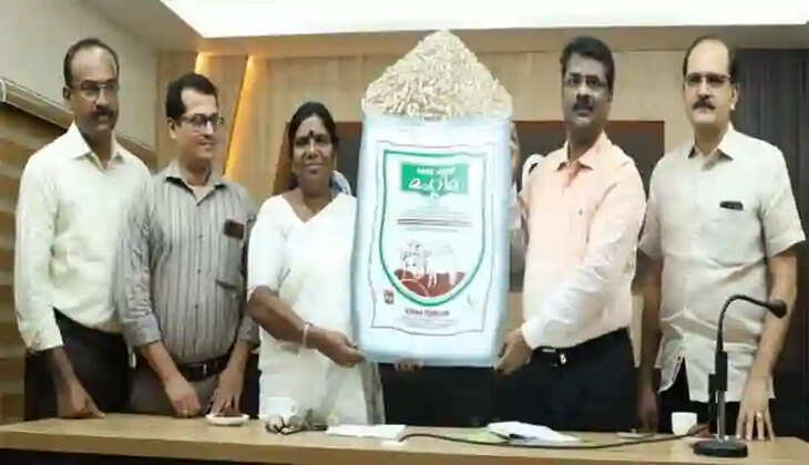 Importance of scientific feeding in livestock management; Minister J Chinchu Rani will start an awareness campaign among dairy farmers, Thiruvananthapuram, News, Minister J Chinchu Rani, Scientific feeding, Agriculture, Awareness, Campaign, Dairy farmers, Kerala News