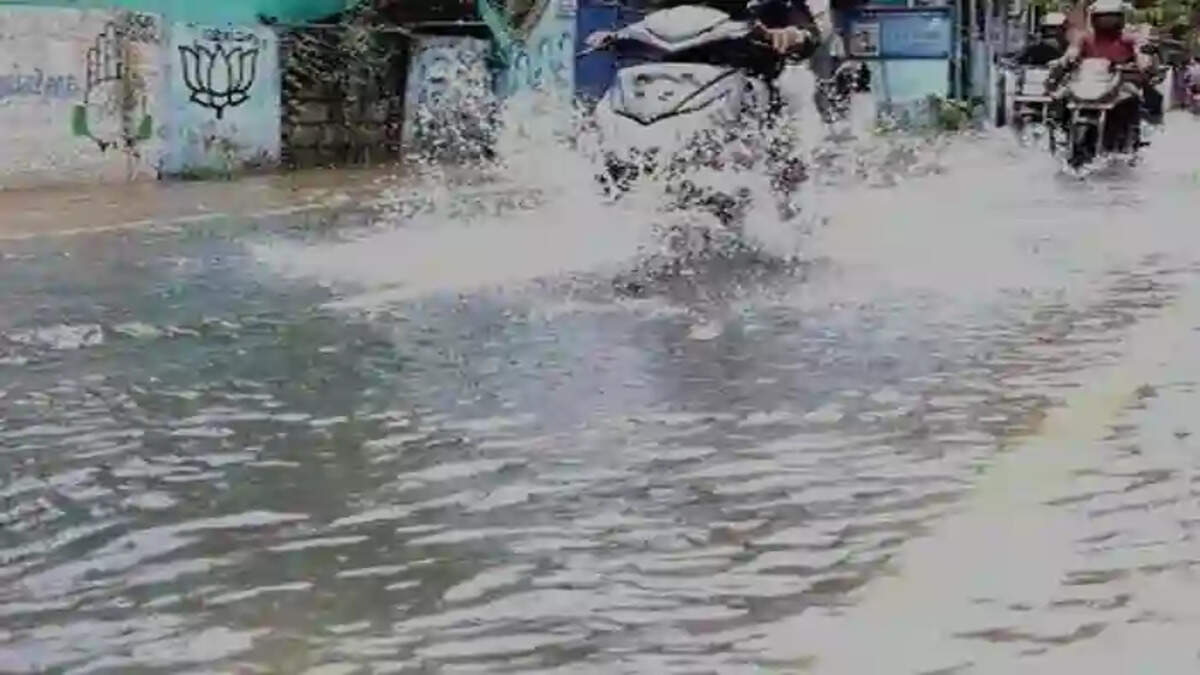 Waterlog