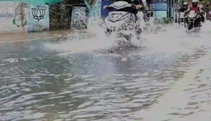 Waterlog