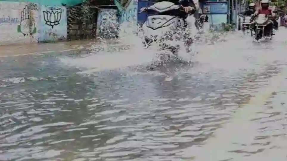 Waterlog