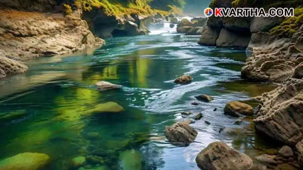 Boat Crew Saves Man Who Fell from Bridge in Poothotta